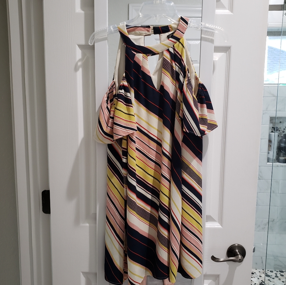 Pink Rose Striped Dress Size XS